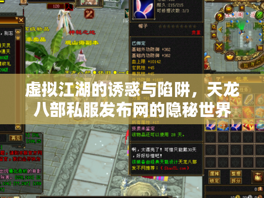 虚拟江湖的诱惑与陷阱，天龙八部私服发布网的隐秘世界