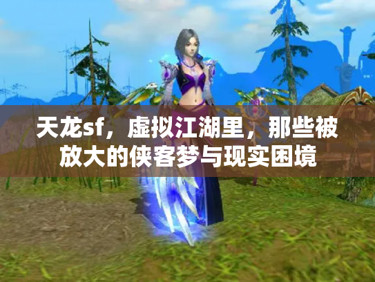天龙sf，虚拟江湖里，那些被放大的侠客梦与现实困境