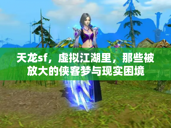 天龙sf，虚拟江湖里，那些被放大的侠客梦与现实困境