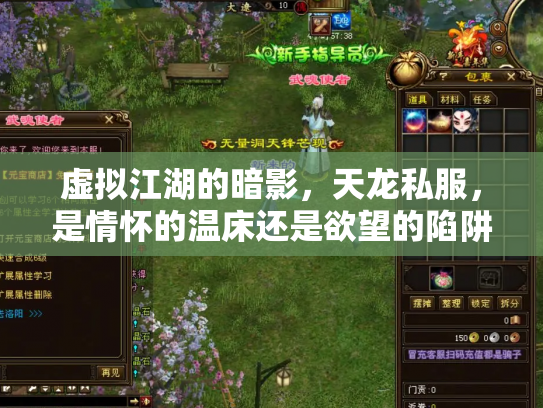 虚拟江湖的暗影，天龙私服，是情怀的温床还是欲望的陷阱？
