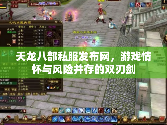 天龙八部私服发布网，游戏情怀与风险并存的双刃剑