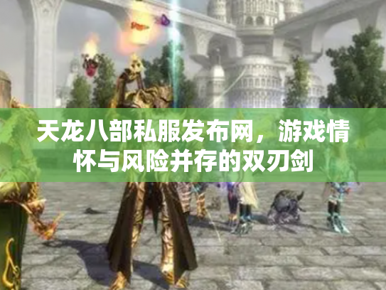 天龙八部私服发布网，游戏情怀与风险并存的双刃剑