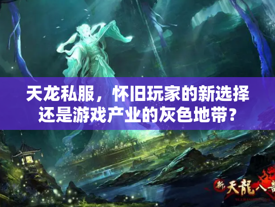 天龙私服，怀旧玩家的新选择还是游戏产业的灰色地带？