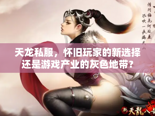 天龙私服，怀旧玩家的新选择还是游戏产业的灰色地带？