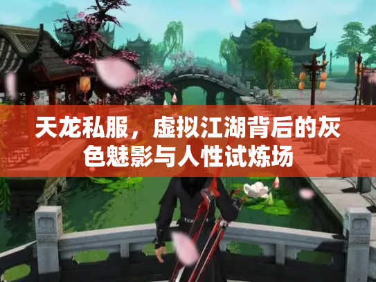 天龙私服，虚拟江湖背后的灰色魅影与人性试炼场
