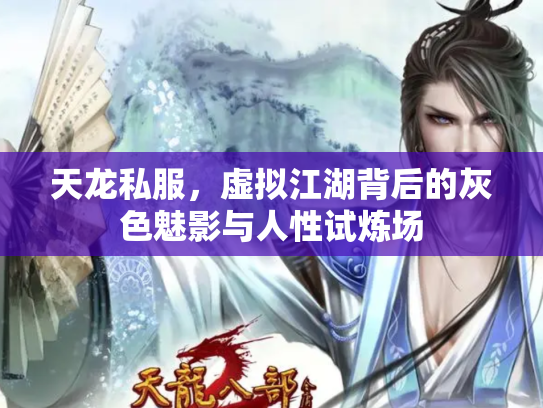 天龙私服，虚拟江湖背后的灰色魅影与人性试炼场