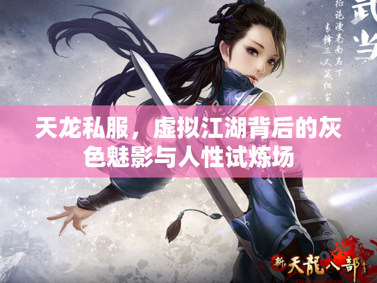 天龙私服，虚拟江湖背后的灰色魅影与人性试炼场
