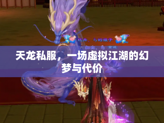 天龙私服，一场虚拟江湖的幻梦与代价