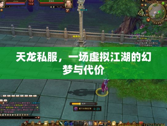 天龙私服，一场虚拟江湖的幻梦与代价