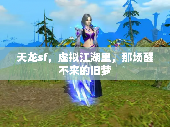 天龙sf，虚拟江湖里，那场醒不来的旧梦