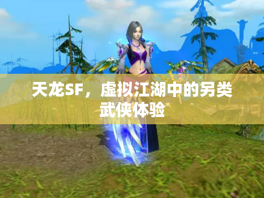 天龙SF，虚拟江湖中的另类武侠体验