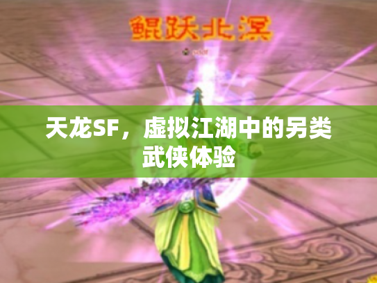 天龙SF，虚拟江湖中的另类武侠体验