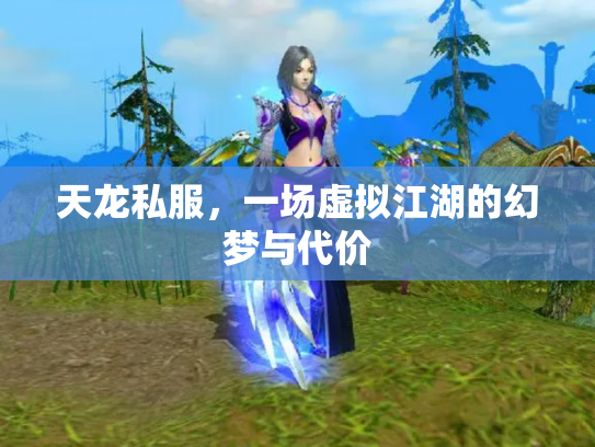天龙私服，一场虚拟江湖的幻梦与代价