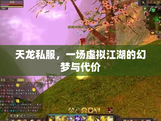 天龙私服，一场虚拟江湖的幻梦与代价