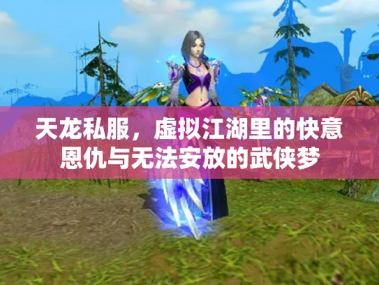天龙私服，虚拟江湖里的快意恩仇与无法安放的武侠梦