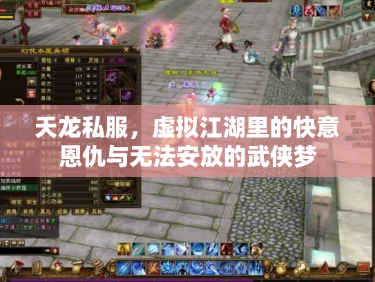 天龙私服，虚拟江湖里的快意恩仇与无法安放的武侠梦
