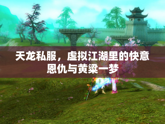 天龙私服，虚拟江湖里的快意恩仇与黄粱一梦
