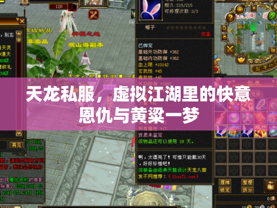 天龙私服，虚拟江湖里的快意恩仇与黄粱一梦
