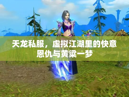 天龙私服，虚拟江湖里的快意恩仇与黄粱一梦