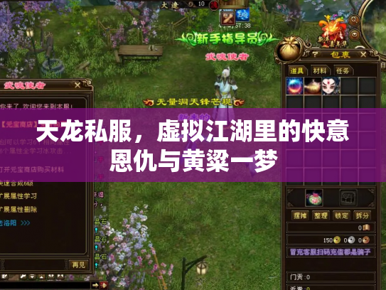 天龙私服，虚拟江湖里的快意恩仇与黄粱一梦