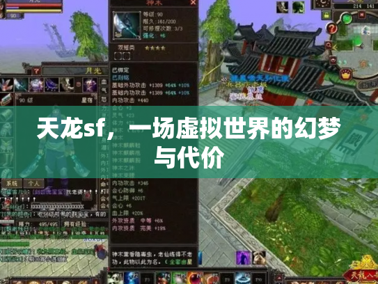 天龙sf，一场虚拟世界的幻梦与代价