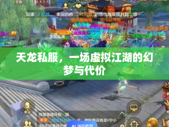 天龙私服，一场虚拟江湖的幻梦与代价