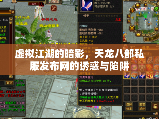 虚拟江湖的暗影，天龙八部私服发布网的诱惑与陷阱