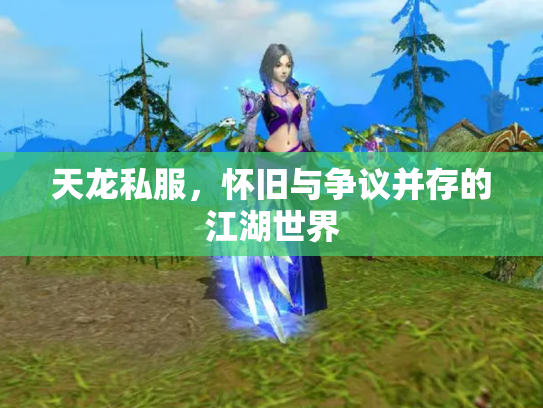 天龙私服，怀旧与争议并存的江湖世界
