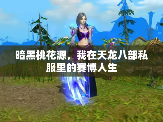 暗黑桃花源，我在天龙八部私服里的赛博人生