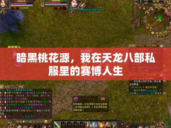 暗黑桃花源，我在天龙八部私服里的赛博人生