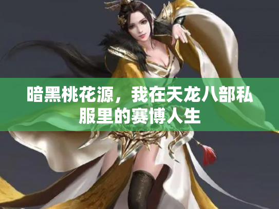 暗黑桃花源，我在天龙八部私服里的赛博人生