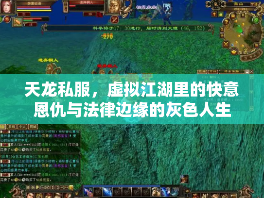天龙私服，虚拟江湖里的快意恩仇与法律边缘的灰色人生