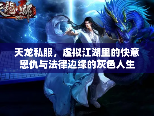 天龙私服，虚拟江湖里的快意恩仇与法律边缘的灰色人生