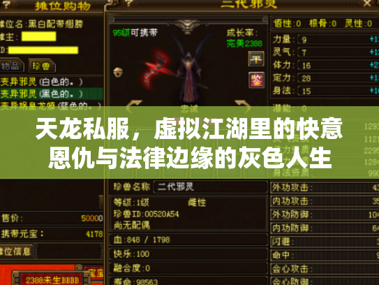 天龙私服，虚拟江湖里的快意恩仇与法律边缘的灰色人生