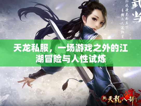 天龙私服，一场游戏之外的江湖冒险与人性试炼