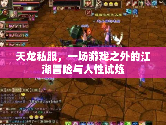 天龙私服，一场游戏之外的江湖冒险与人性试炼
