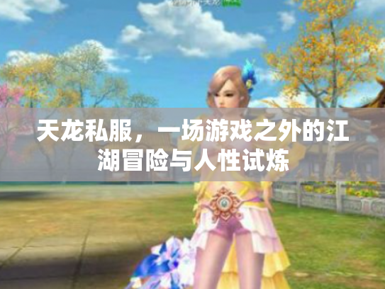 天龙私服，一场游戏之外的江湖冒险与人性试炼