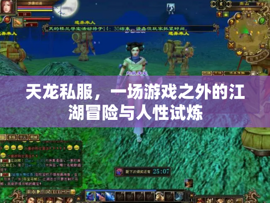 天龙私服，一场游戏之外的江湖冒险与人性试炼