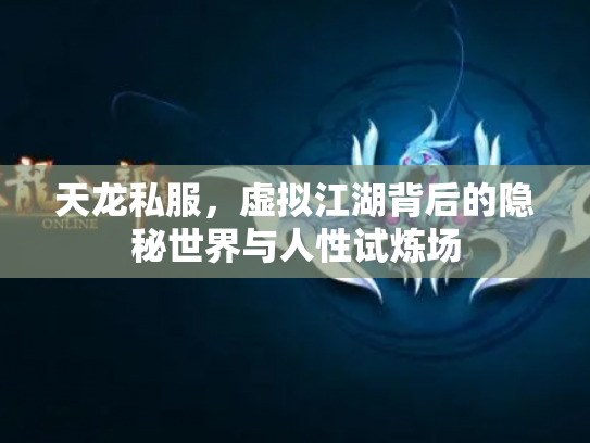 天龙私服，虚拟江湖背后的隐秘世界与人性试炼场