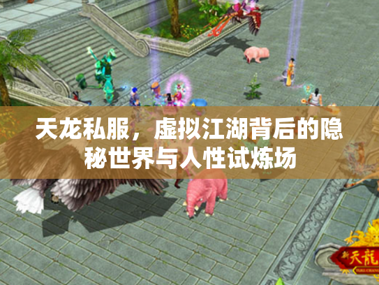 天龙私服，虚拟江湖背后的隐秘世界与人性试炼场