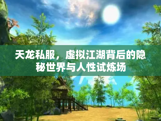 天龙私服，虚拟江湖背后的隐秘世界与人性试炼场