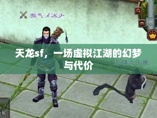 天龙sf，一场虚拟江湖的幻梦与代价