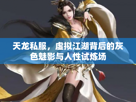 天龙私服，虚拟江湖背后的灰色魅影与人性试炼场