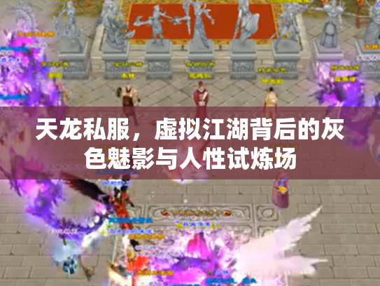 天龙私服，虚拟江湖背后的灰色魅影与人性试炼场