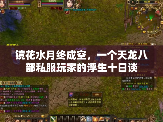 镜花水月终成空，一个天龙八部私服玩家的浮生十日谈