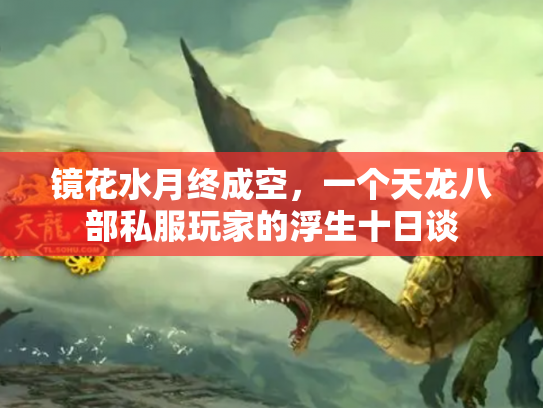 镜花水月终成空，一个天龙八部私服玩家的浮生十日谈