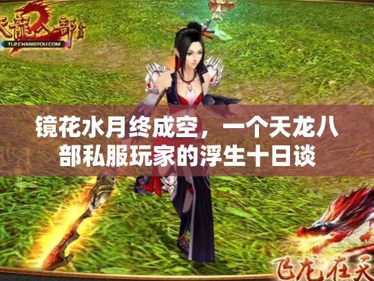 镜花水月终成空，一个天龙八部私服玩家的浮生十日谈