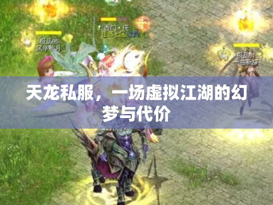 天龙私服，一场虚拟江湖的幻梦与代价