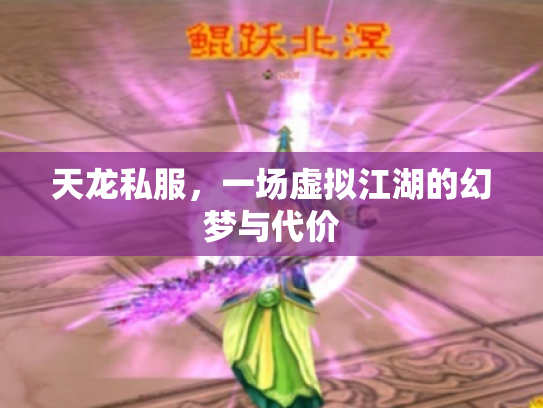 天龙私服，一场虚拟江湖的幻梦与代价