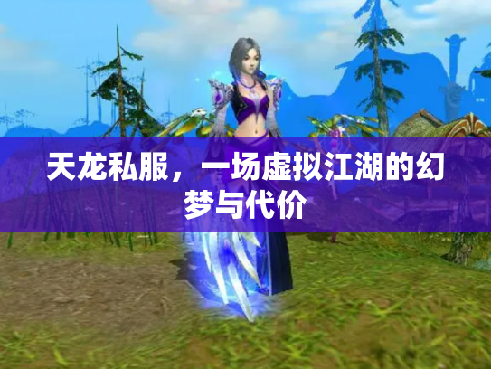 天龙私服，一场虚拟江湖的幻梦与代价